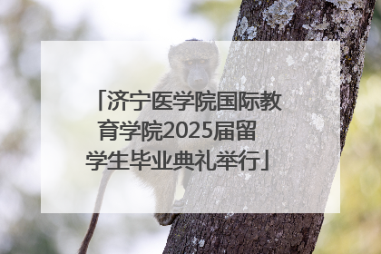 济宁医学院国际教育学院2025届留学生毕业典礼举行