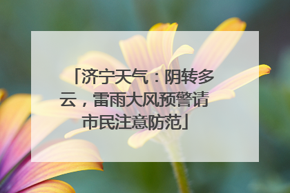 济宁天气：阴转多云，雷雨大风预警请市民注意防范