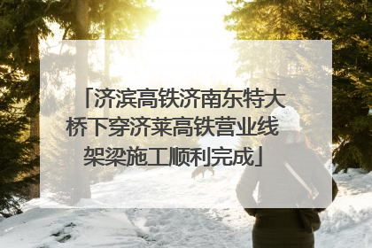 济滨高铁济南东特大桥下穿济莱高铁营业线架梁施工顺利完成