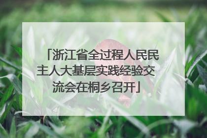 浙江省全过程人民民主人大基层实践经验交流会在桐乡召开