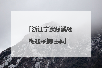浙江宁波慈溪杨梅迎采摘旺季