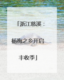 浙江慈溪：杨梅之乡开启丰收季