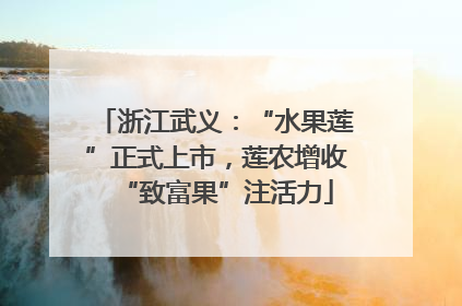 浙江武义：“水果莲”正式上市，莲农增收“致富果”注活力