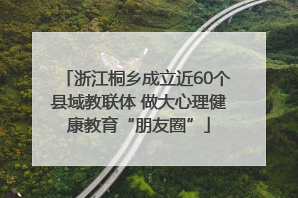 浙江桐乡成立近60个县域教联体 做大心理健康教育“朋友圈”