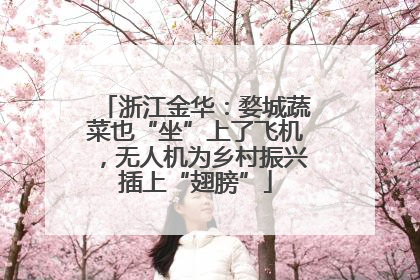浙江金华：婺城蔬菜也“坐”上了飞机，无人机为乡村振兴插上“翅膀”