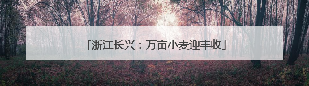 浙江长兴：万亩小麦迎丰收