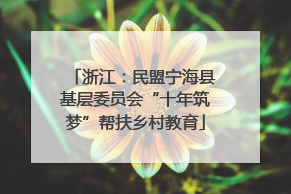 浙江：民盟宁海县基层委员会“十年筑梦”帮扶乡村教育