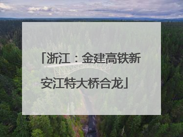 浙江：金建高铁新安江特大桥合龙