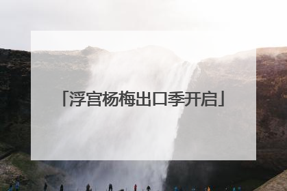浮宫杨梅出口季开启