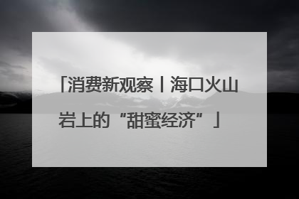 消费新观察丨海口火山岩上的“甜蜜经济”
