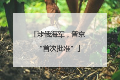 涉俄海军，普京“首次批准”