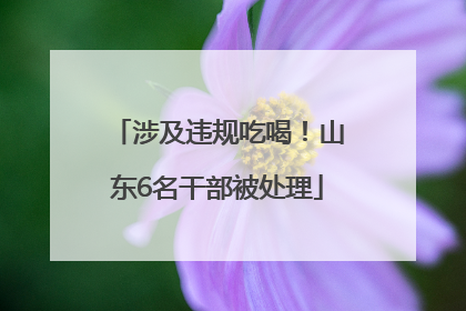 涉及违规吃喝！山东6名干部被处理