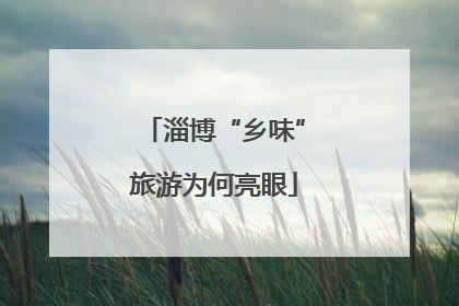淄博“乡味”旅游为何亮眼