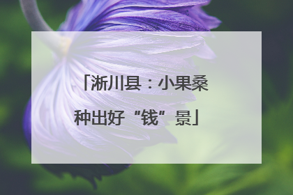 淅川县：小果桑种出好“钱”景
