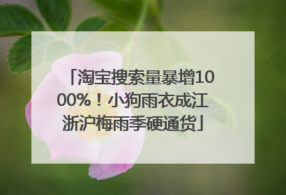 淘宝搜索量暴增1000%！小狗雨衣成江浙沪梅雨季硬通货