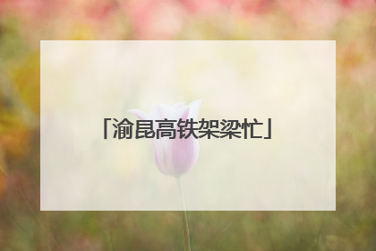 渝昆高铁架梁忙
