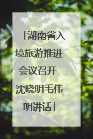 湖南省入境旅游推进会议召开 沈晓明毛伟明讲话