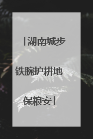 湖南城步铁腕护耕地保粮安