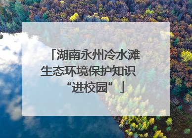 湖南永州冷水滩生态环境保护知识“进校园”