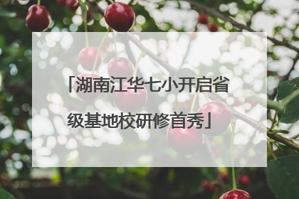 湖南江华七小开启省级基地校研修首秀