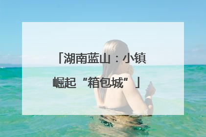 湖南蓝山：小镇崛起“箱包城”