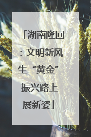 湖南隆回：文明新风生“黄金” 振兴路上展新姿