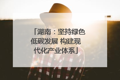 湖南：坚持绿色低碳发展 构建现代化产业体系