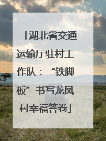湖北省交通运输厅驻村工作队：“铁脚板”书写龙凤村幸福答卷
