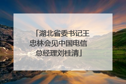 湖北省委书记王忠林会见中国电信总经理刘桂清