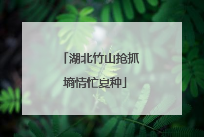 湖北竹山抢抓墒情忙夏种