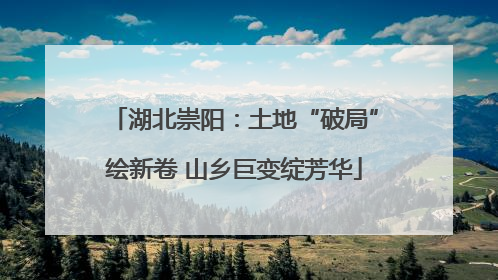 湖北崇阳：土地“破局”绘新卷 山乡巨变绽芳华