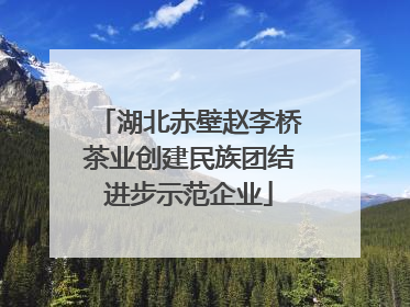 湖北赤壁赵李桥茶业创建民族团结进步示范企业