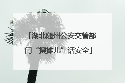 湖北随州公安交管部门“摆摊儿”话安全