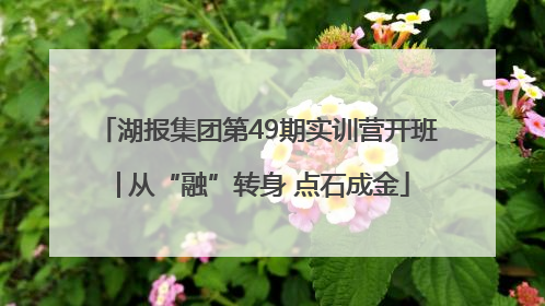 湖报集团第49期实训营开班│从“融”转身 点石成金