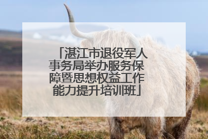 湛江市退役军人事务局举办服务保障暨思想权益工作能力提升培训班