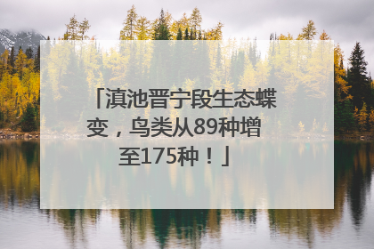 滇池晋宁段生态蝶变，鸟类从89种增至175种！