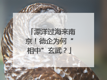 漂洋过海来南京！德企为何“相中”玄武？