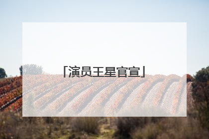 演员王星官宣