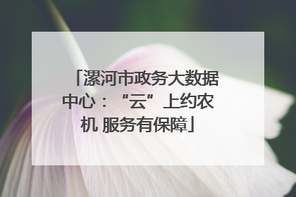 漯河市政务大数据中心：“云”上约农机 服务有保障