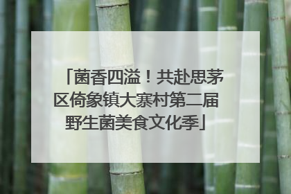 菌香四溢！共赴思茅区倚象镇大寨村第二届野生菌美食文化季