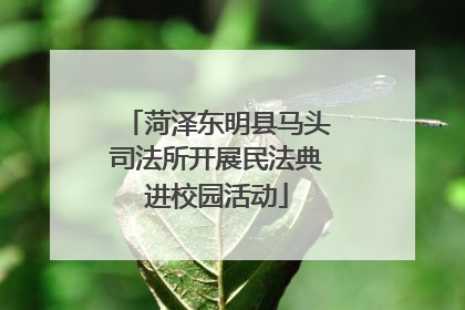 菏泽东明县马头司法所开展民法典进校园活动