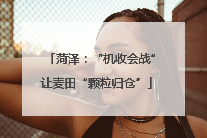 菏泽：“机收会战”让麦田“颗粒归仓”