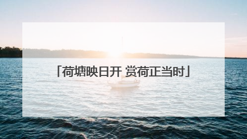 荷塘映日开 赏荷正当时