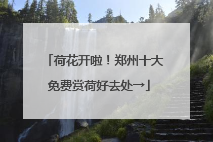 荷花开啦！郑州十大免费赏荷好去处→