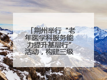 荆州举行“老年医学科服务能力提升基层行”活动，构建三级联动健康网
