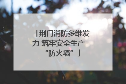 荆门消防多维发力 筑牢安全生产“防火墙”