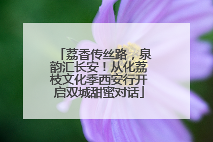 荔香传丝路，泉韵汇长安！从化荔枝文化季西安行开启双城甜蜜对话