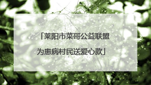 莱阳市菜哥公益联盟为患病村民送爱心款