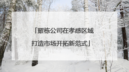 耀栋公司在孝感区域打造市场开拓新范式