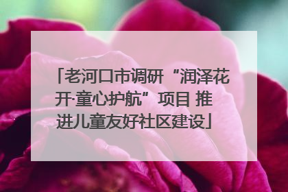 老河口市调研“润泽花开·童心护航”项目 推进儿童友好社区建设